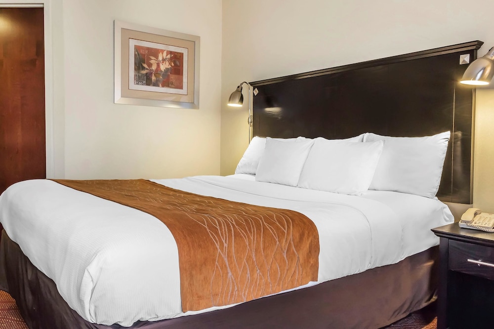 Standard Room, 1 King Bed, Non Smoking - Photo 7