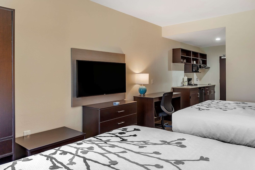 Suite, 2 Queen Beds, Non Smoking (Efficiency) - Photo 5