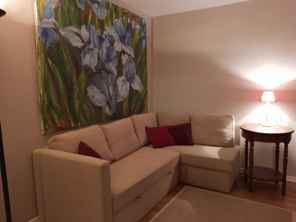 Comfort Apartment, 3 Bedrooms, Non Smoking, Park View photo 3