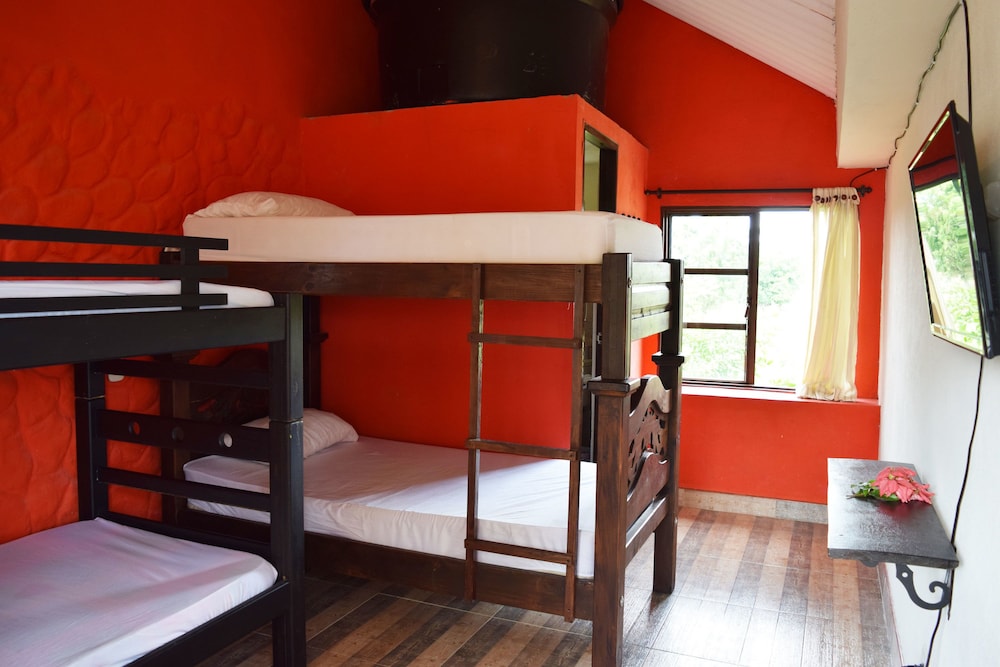 Quadruple Room photo 1