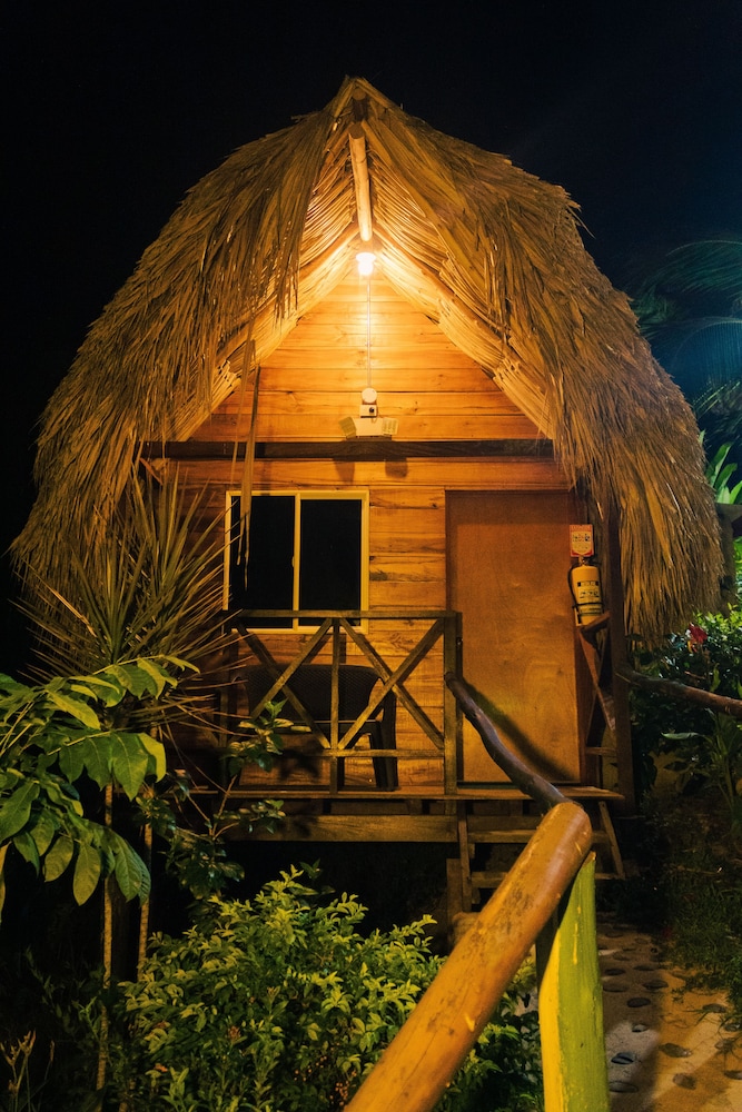 Basic Cabin photo 1