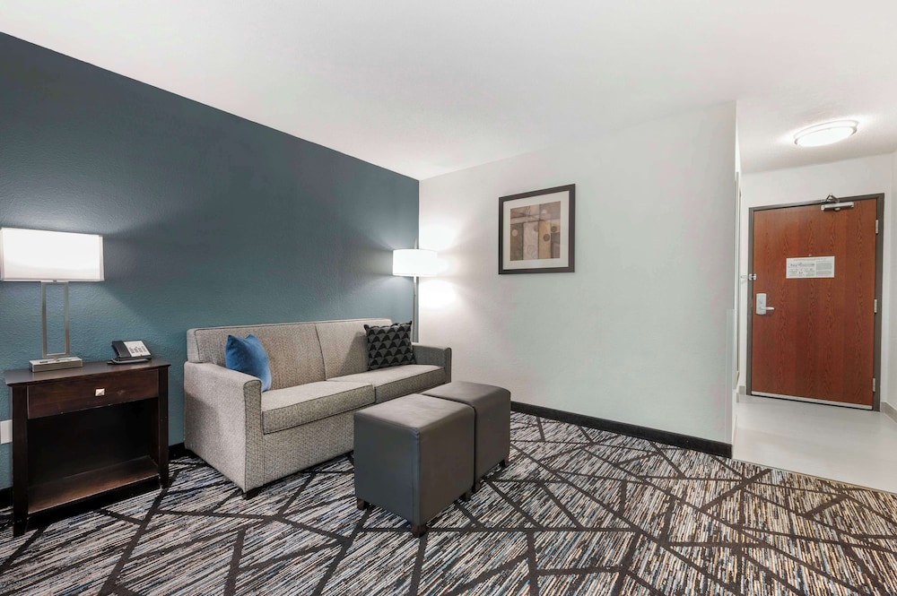 Standard Room, 1 King Bed, Accessible, Non Smoking (Walk-in Shower;with Sofabed) - Photo 7