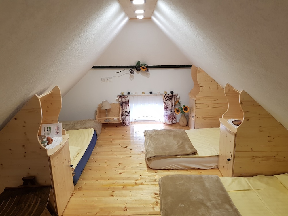Basic Shared Dormitory, Mixed Dorm photo 1