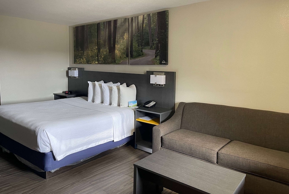 Room, 1 King Bed, Accessible, Non Smoking (Mobility, Tub w/ Grab Bars) photo 3