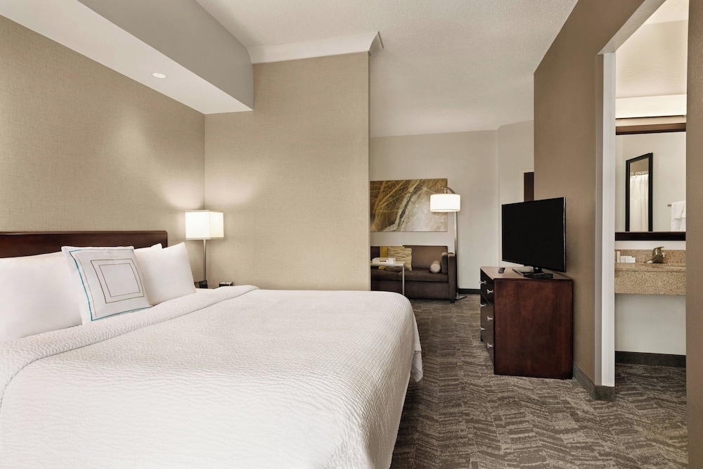 Suite, 1 King Bed with Sofa bed (Mobility/Hearing Access, Roll-In Shwr) - Photo 2