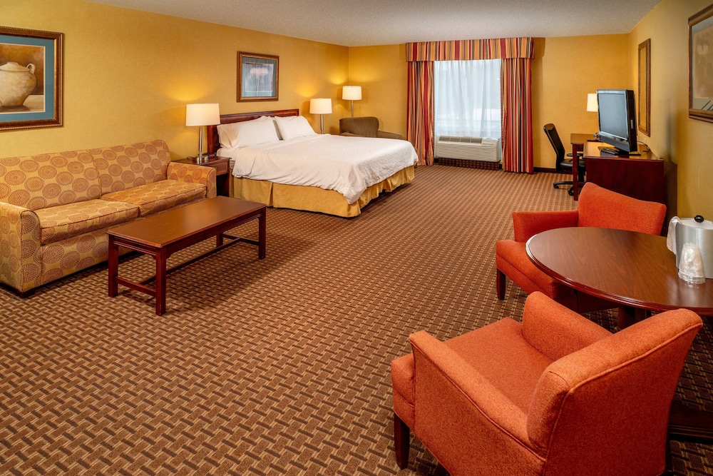 Suite, 1 King Bed with Sofa bed (Wet Bar) - Photo 1