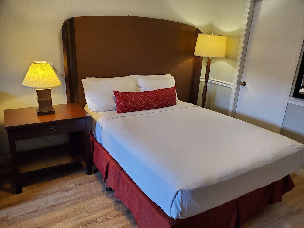 Room, 1 Queen Bed photo 1