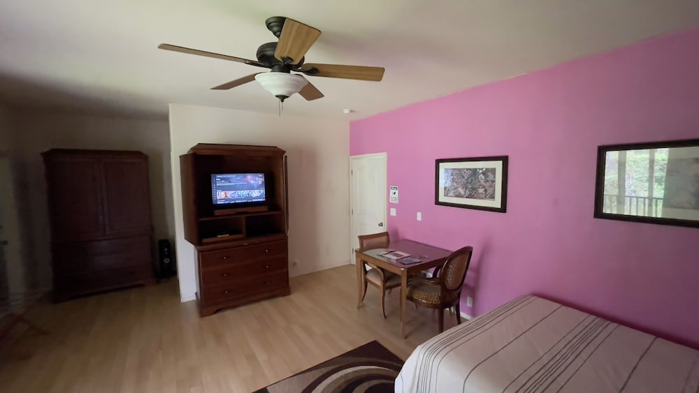 Room (Ginger) - Photo 9