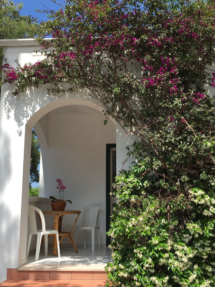 Bungalow (2 people) photo 3