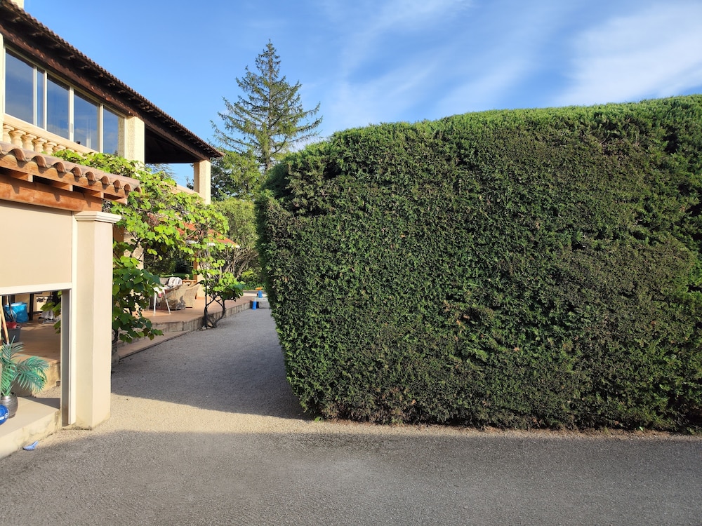 Deluxe Suite, Garden View photo 3