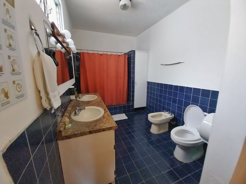 Executive Suite, 1 King Bed, Patio photo 3