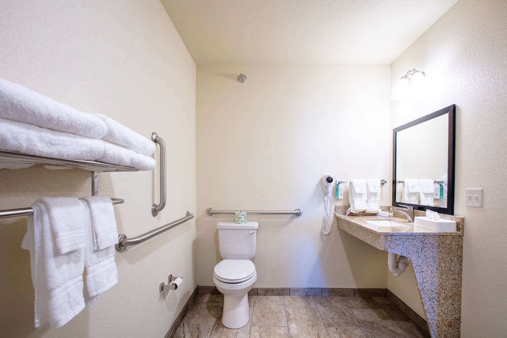 Room, 1 King Bed, Accessible, Non Smoking (Audible/Visual) - Photo 9