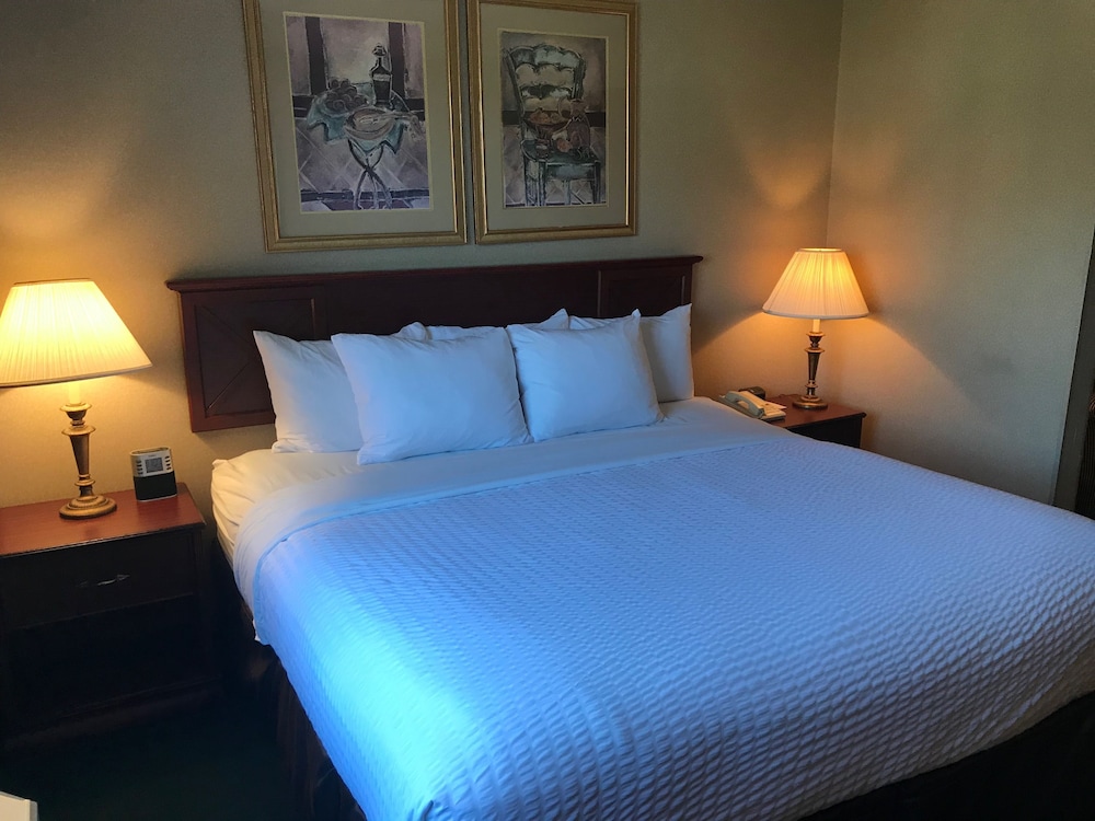Premier Single Room photo 1