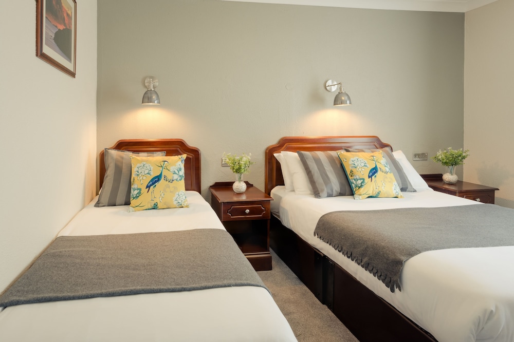 Deluxe Twin Room photo 1