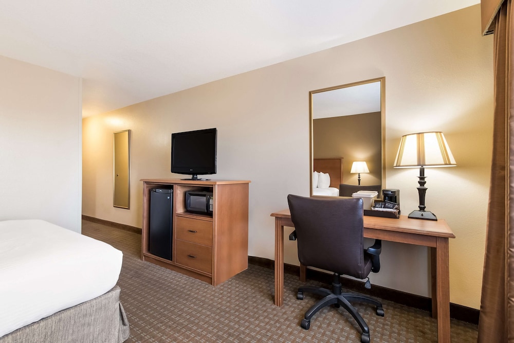 Room, 1 Queen Bed photo 3