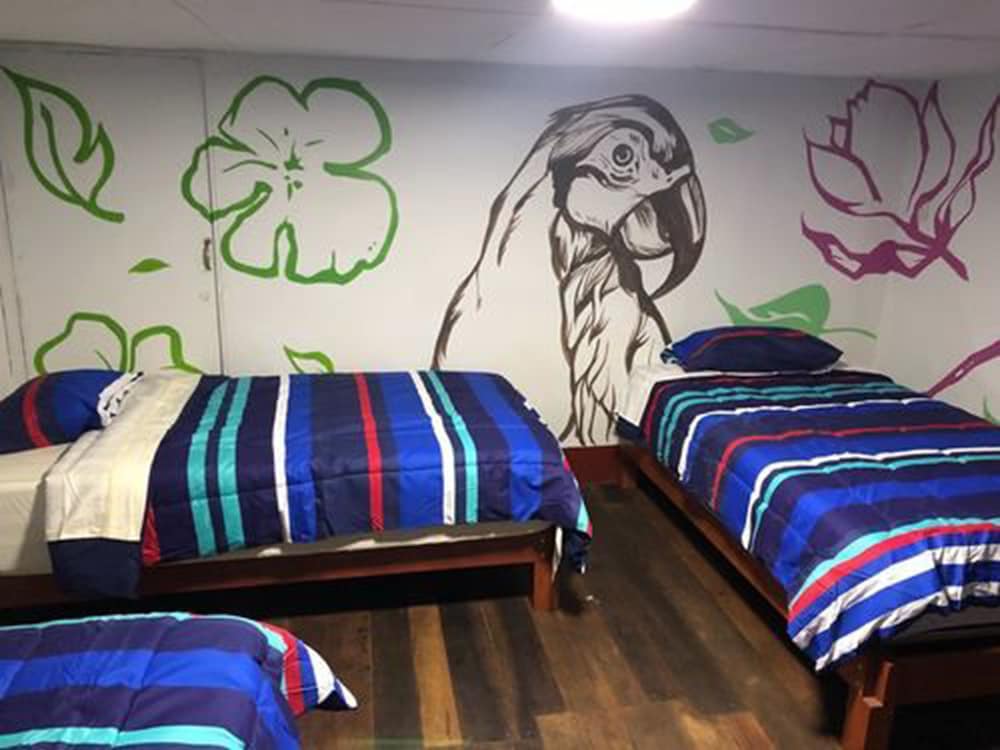 Shared Dormitory, Mixed Dorm (4 PAX) photo 2