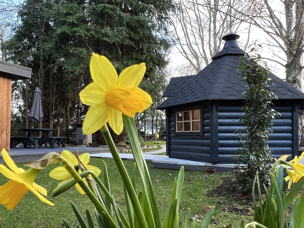 Cabin (ROYAL SNUG)