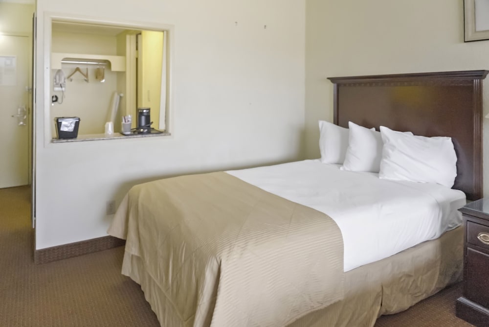 Deluxe Single Room photo 1