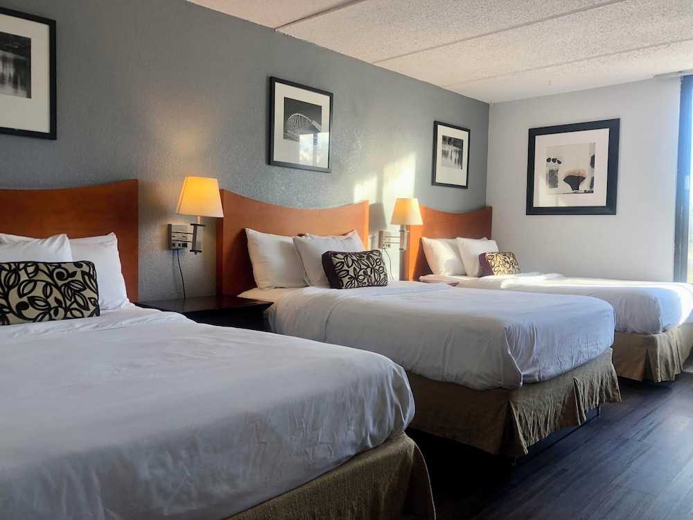 Deluxe Triple Room, Multiple Beds photo 3