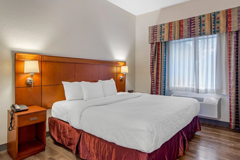 Standard Suite, 1 King Bed photo 3