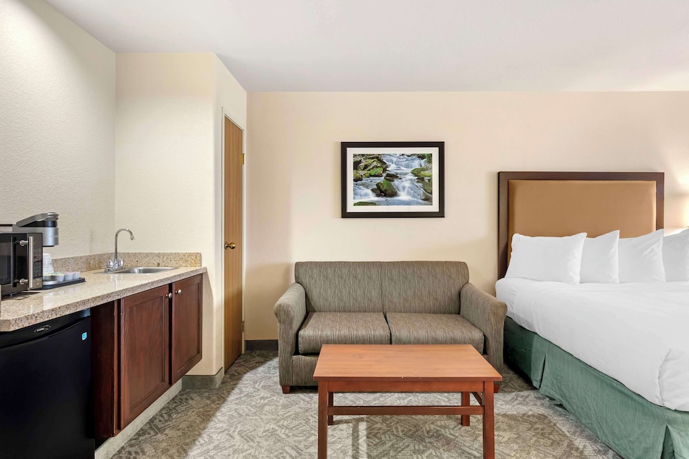 Suite, Multiple Beds, Non Smoking, Refrigerator & Microwave (with Sofabed) photo 3