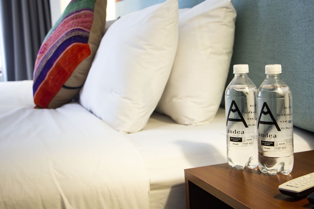 Standard Double or Twin Room photo 3