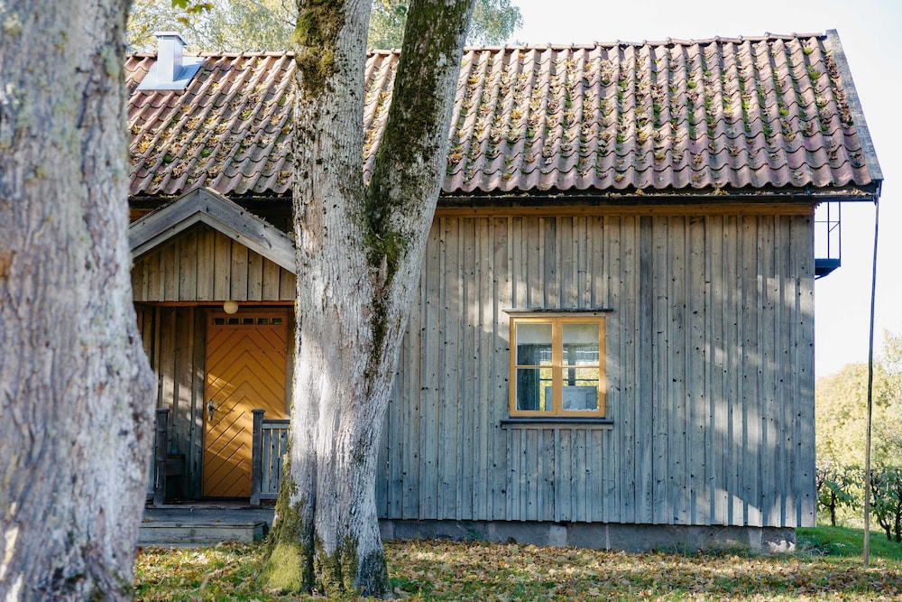 Comfort Cabin (Kronogården)
