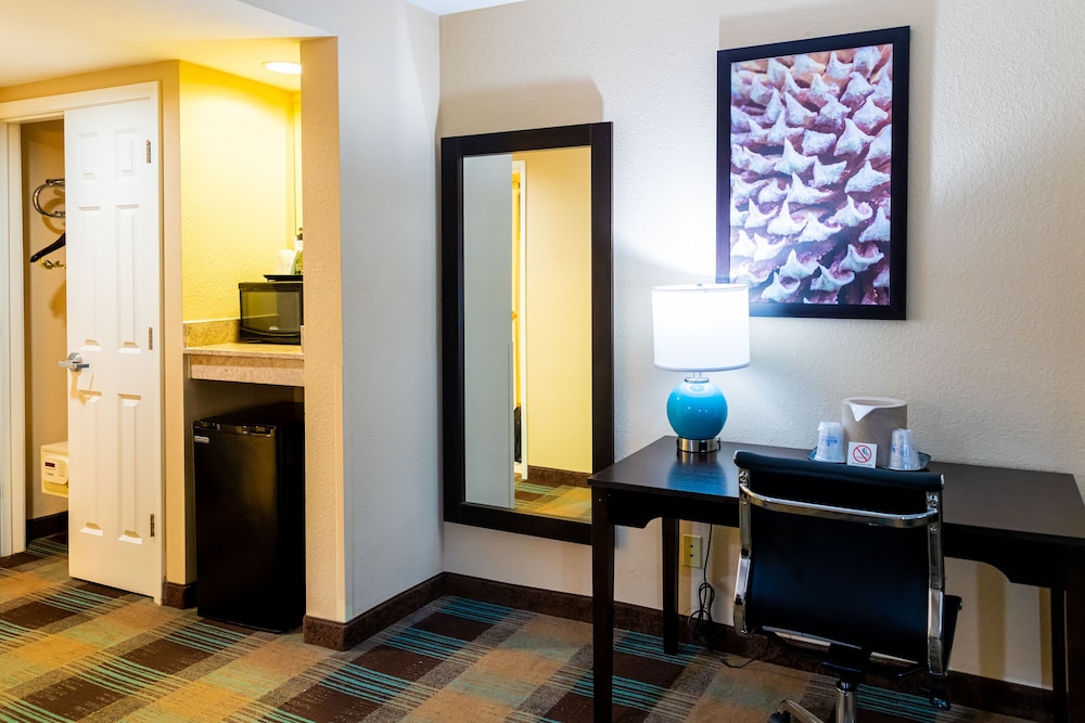 Standard Room, 1 King Bed, Accessible, Non Smoking (Walk-In Shower) - Photo 7