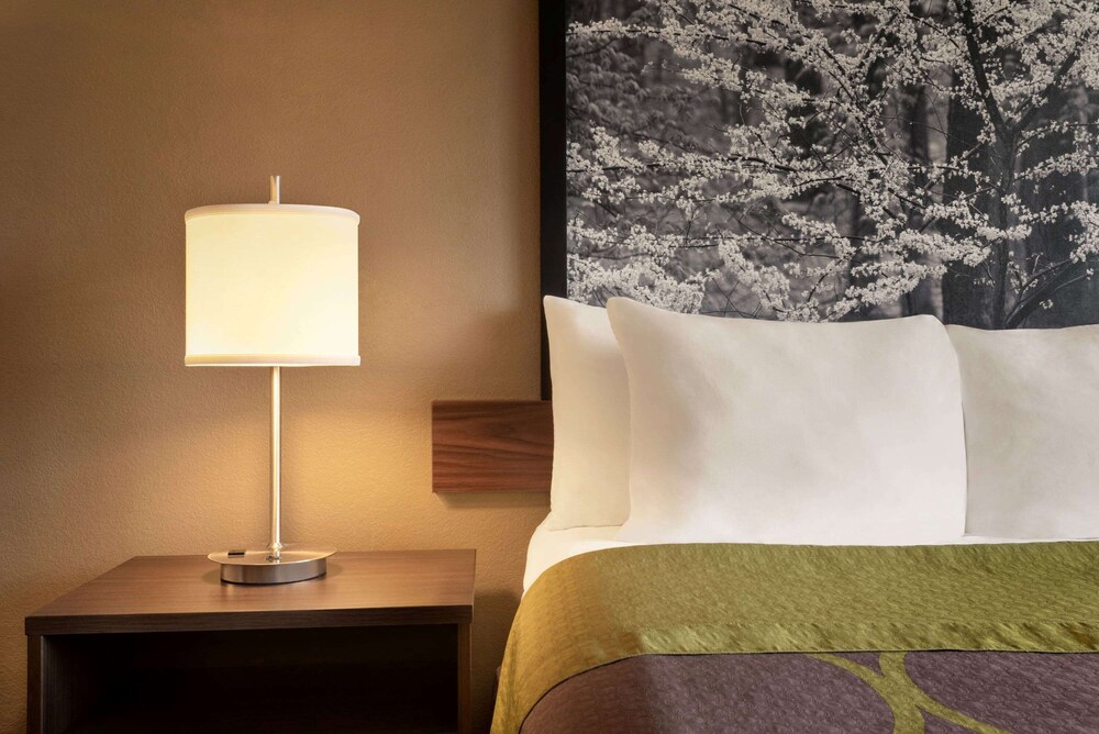 Studio Suite, Multiple Beds, Smoking