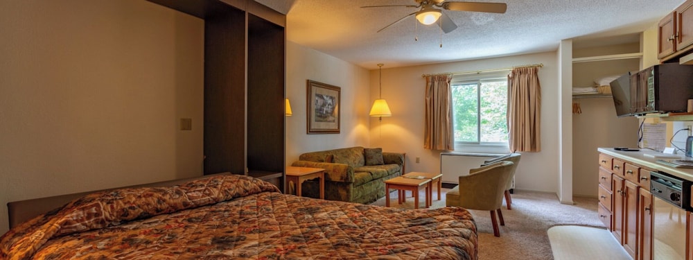 Standard Studio, Multiple Beds, Kitchenette