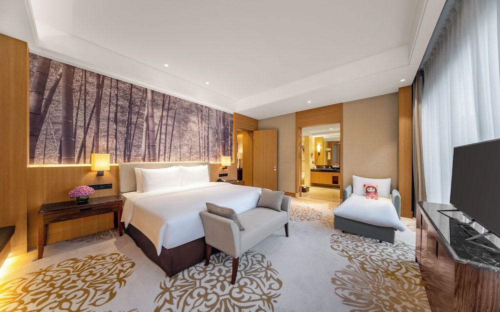 Executive Studio Suite