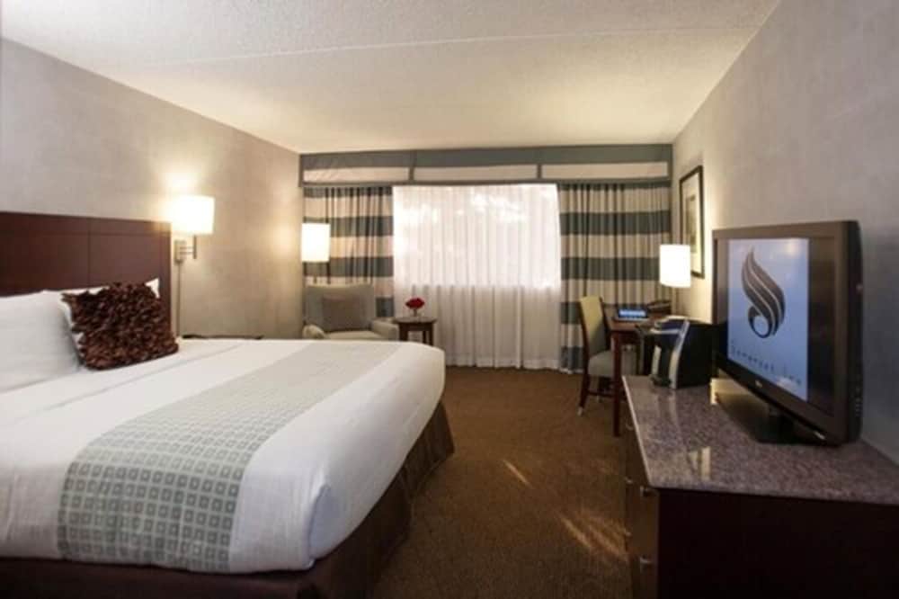 Standard Room (One Full Bed) - Photo 2