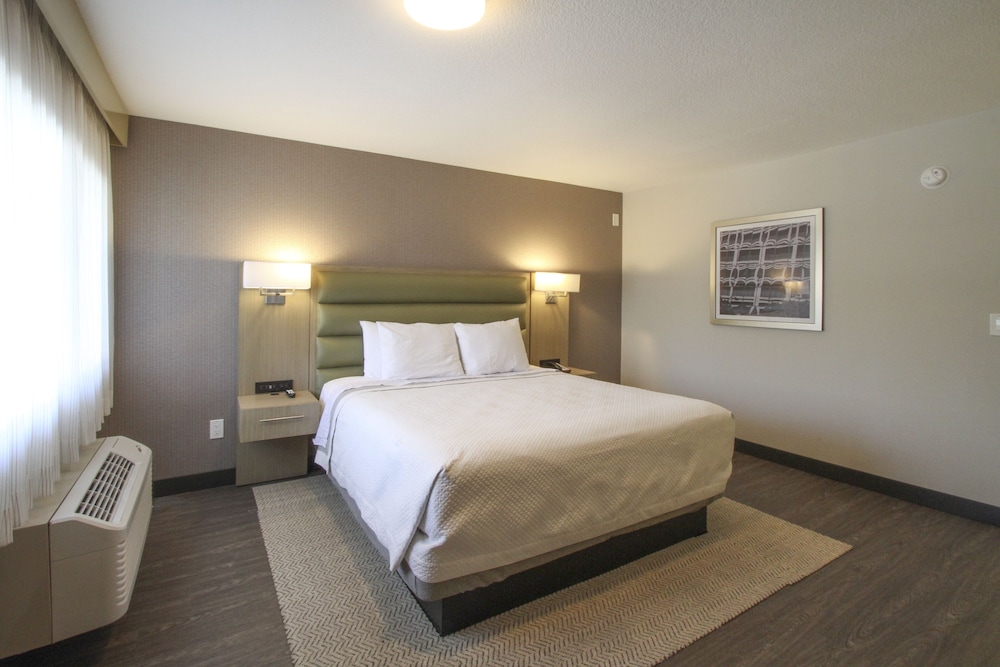 Room, 1 King Bed photo 1