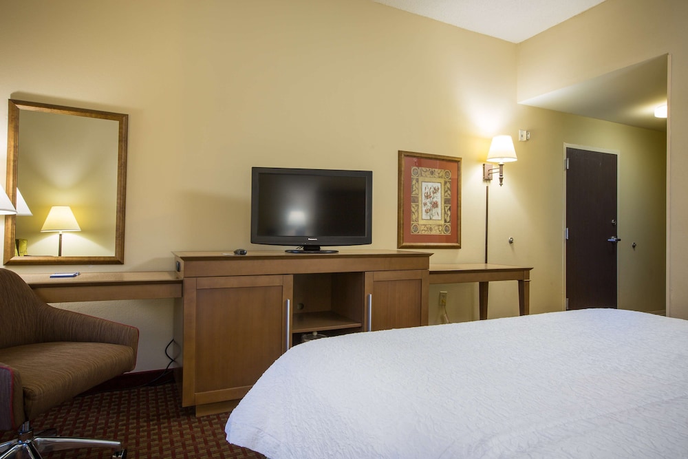 Room, 1 King Bed, Accessible - Photo 4