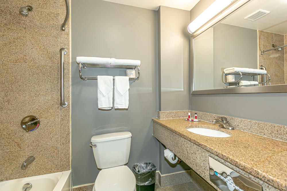 Standard Single Room, 1 King Bed photo 3