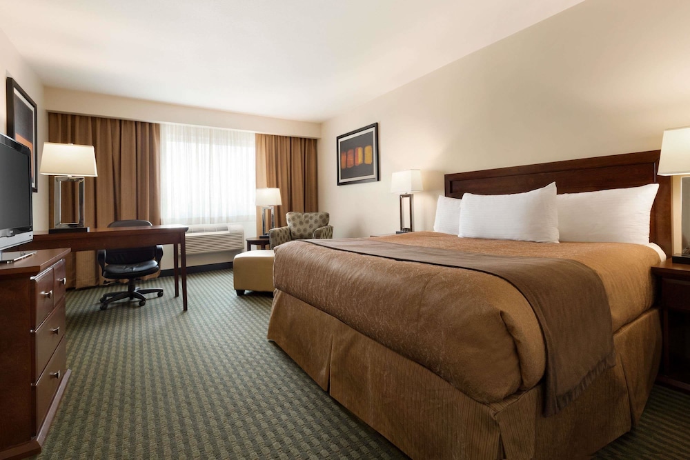 Business Room, 1 King Bed photo 1