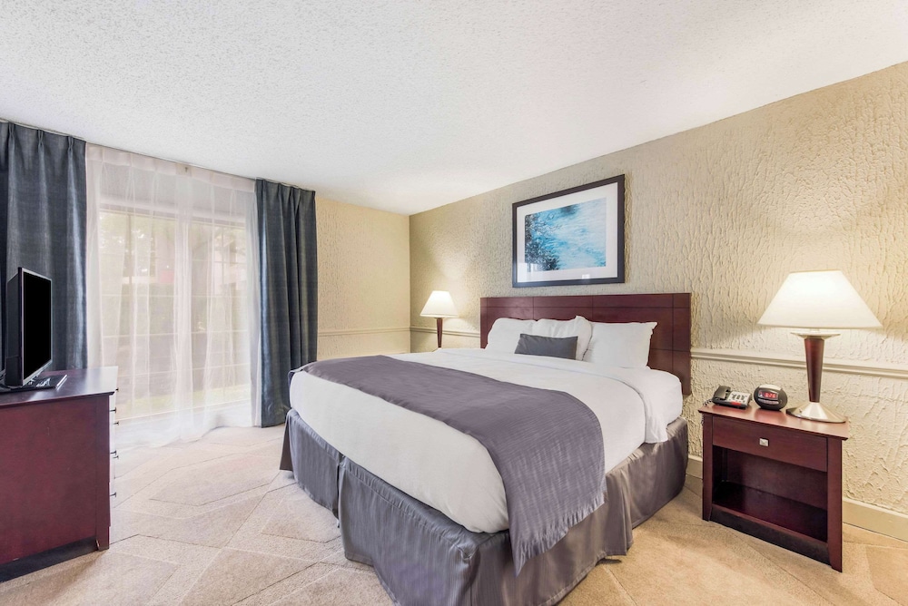 Suite, 1 King Bed with Sofa bed, Non Smoking (Living Room)