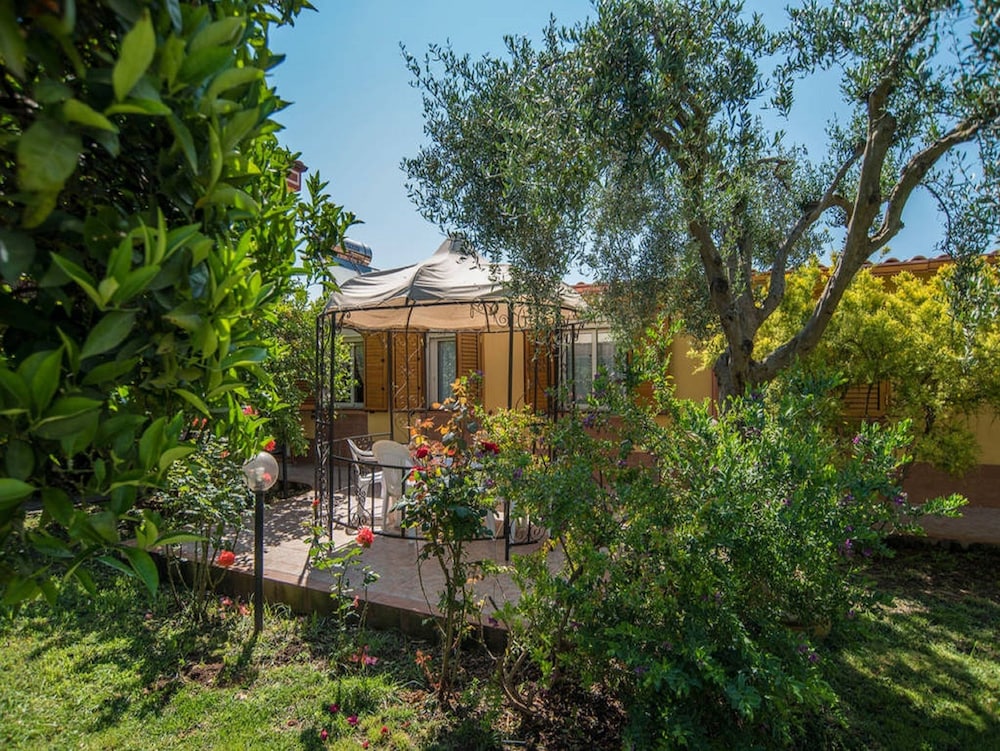 Superior Apartment, Garden View