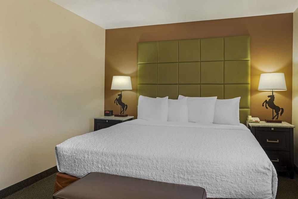 Standard Room, 1 King Bed, Non Smoking, Refrigerator & Microwave (with Sofabed) - Photo 1