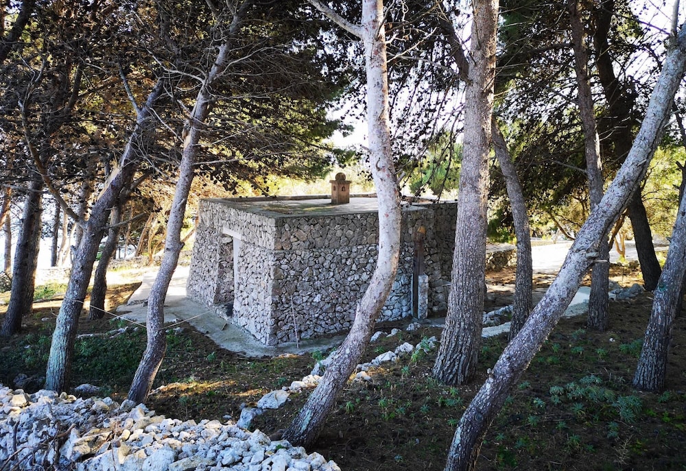 House photo 2
