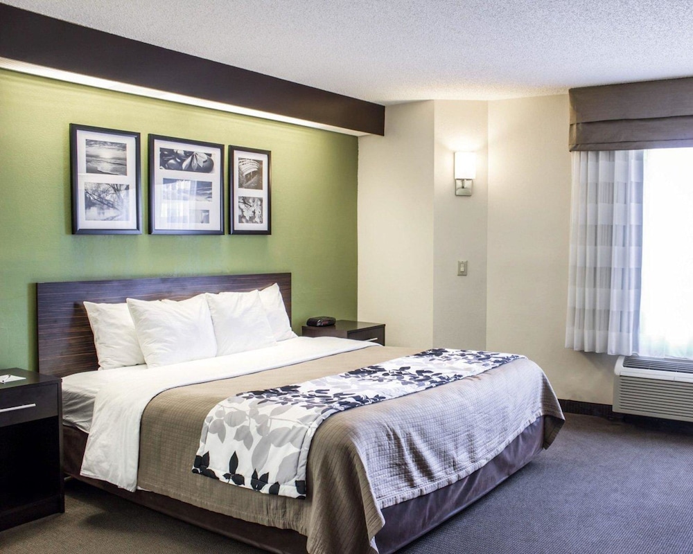 Room, 1 Queen Bed, Accessible, Non Smoking photo 2