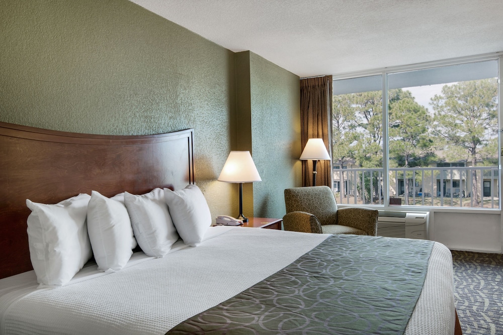 Room, 1 King Bed, Non Smoking photo 3
