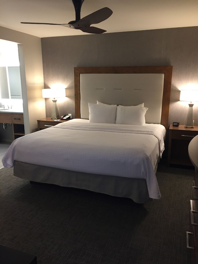 Studio, 1 King Bed, Accessible, Non Smoking (Roll In Shower) photo 2