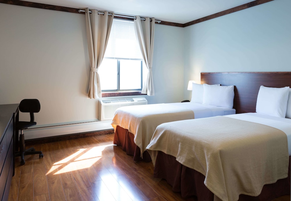Room, 2 Twin Beds photo 3