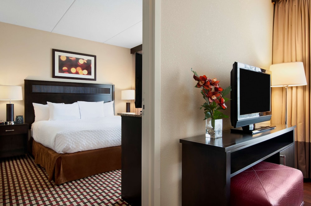 Suite, 1 King Bed, Allergy Friendly - Photo 1