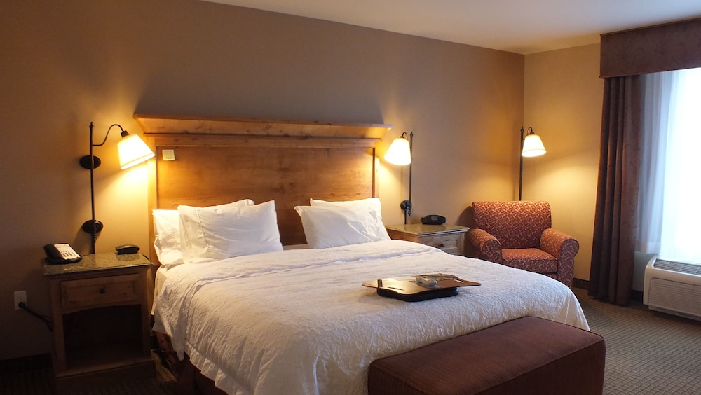 Room, 1 King Bed, Accessible - Photo 8