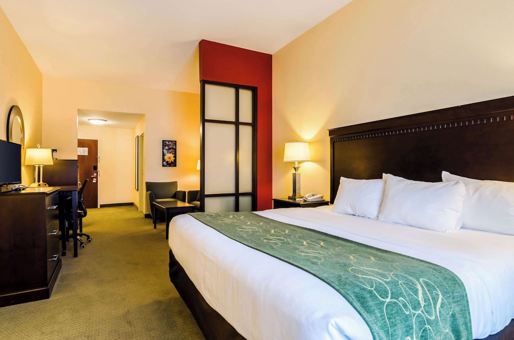 Suite, 1 King Bed with Sofa bed, Accessible, Non Smoking - Photo 1