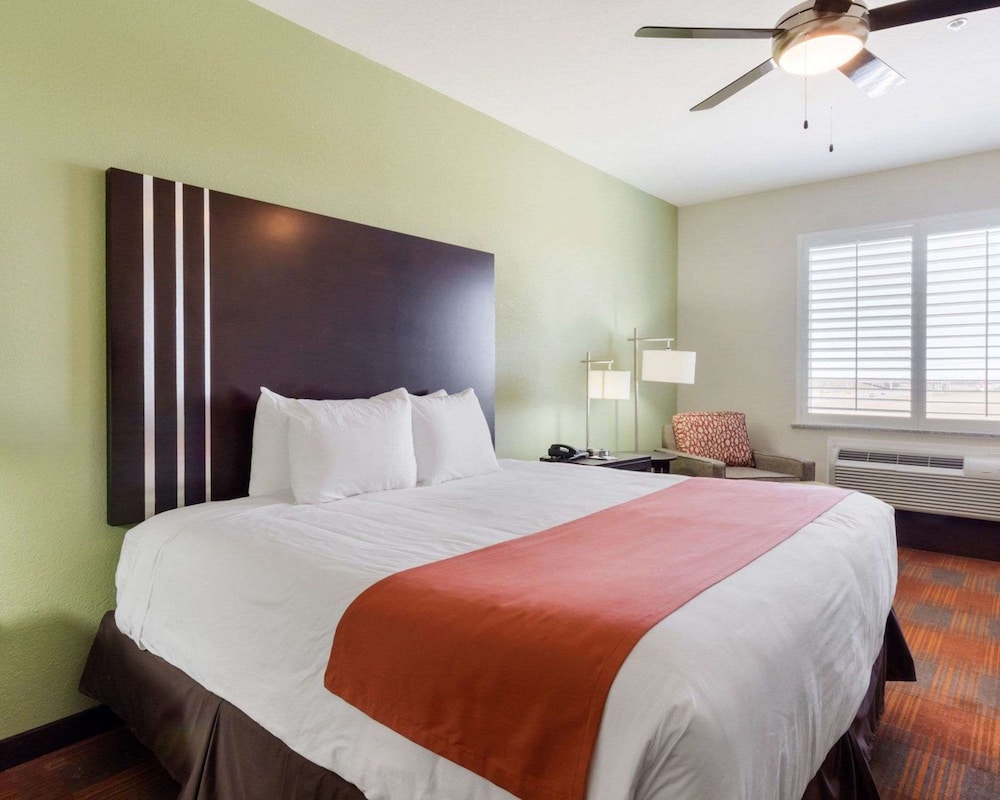 Room, 1 King Bed, Accessible, Non Smoking photo 3