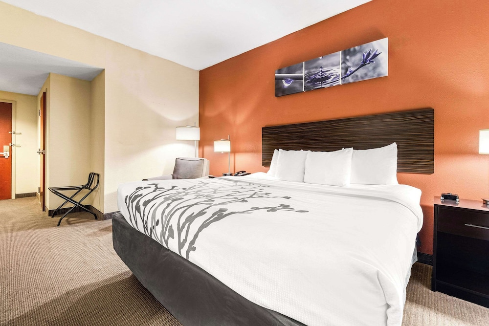 Suite, 1 King Bed with Sofa bed, Accessible, Non Smoking photo 3