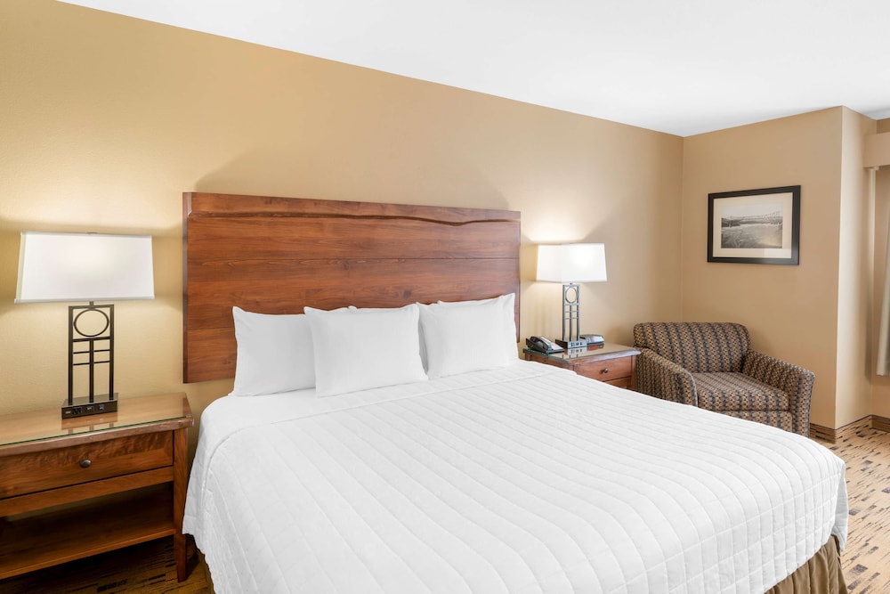 Standard Room, 1 King Bed, Accessible, Refrigerator & Microwave photo 2